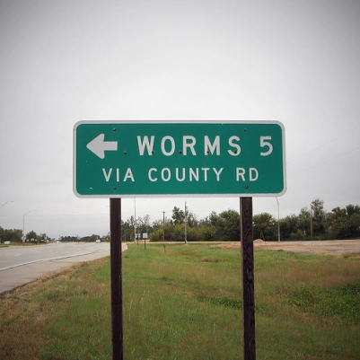 01-worms